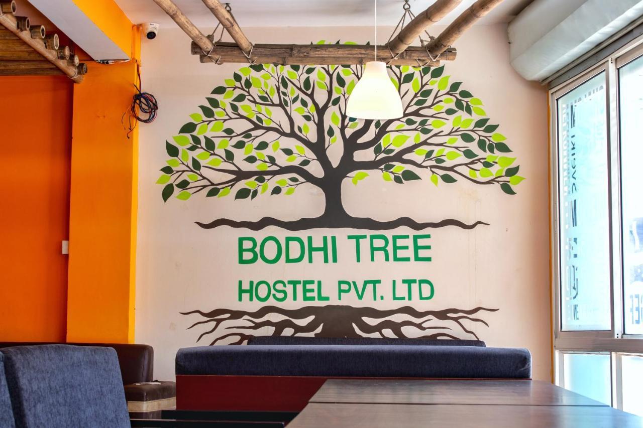 Bodhi Tree Hostel Katmandú Exterior foto